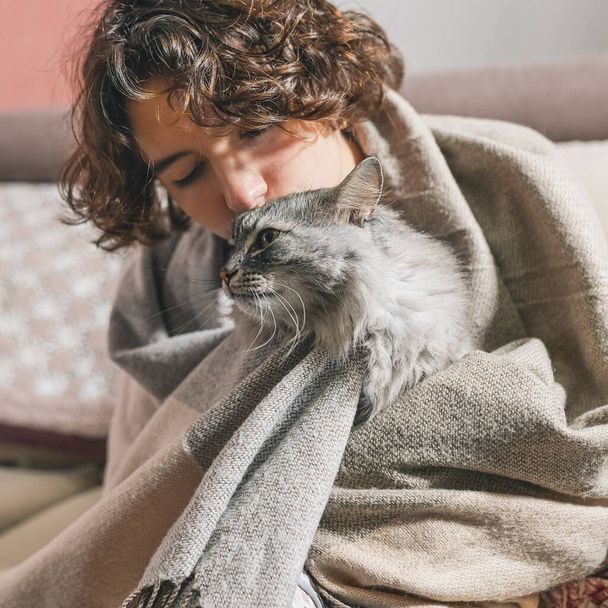 نگهداری از گربه در خانه - تربیت گربه خانگی - بهداشت گربه - نکات مراقبت از گربه - غذای گربه