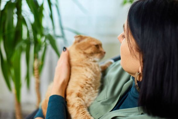 نگهداری از گربه در خانه - تربیت گربه خانگی - بهداشت گربه - نکات مراقبت از گربه - غذای گربه