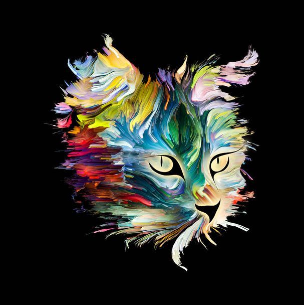 نگهداری از گربه در خانه - تربیت گربه خانگی - بهداشت گربه - نکات مراقبت از گربه - غذای گربه