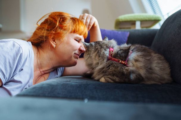 نگهداری از گربه در خانه - تربیت گربه خانگی - بهداشت گربه - نکات مراقبت از گربه - غذای گربه