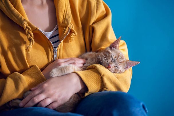 نگهداری از گربه در خانه - تربیت گربه خانگی - بهداشت گربه - نکات مراقبت از گربه - غذای گربه