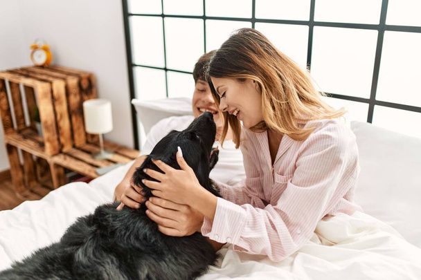 نگهداری سگ در خانه - تربیت سگ - نکات مراقبت از سگ - غذای سگ