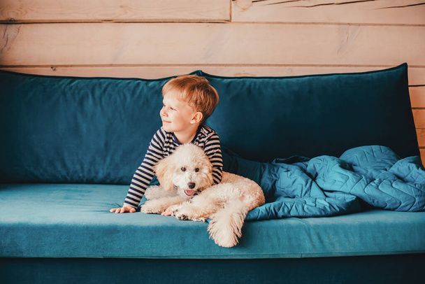 نگهداری سگ در خانه - تربیت سگ - نکات مراقبت از سگ - غذای سگ