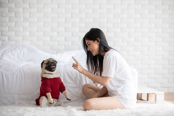 نگهداری سگ در خانه - تربیت سگ - نکات مراقبت از سگ - غذای سگ